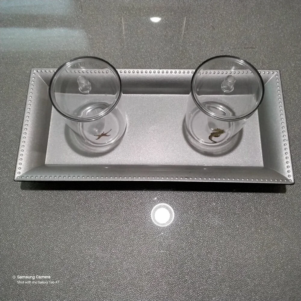 Bathroom Vanity Mattt Silver Tray, 2 Ocean Themed Q-Tip, Cotton Ball Containers